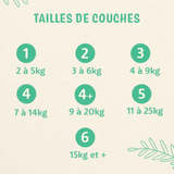 Love and Green | Couches écologiques T1