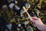 Brosse à dents Medium en bois | Swiss Made