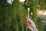 Brosse à dents Soft en bois | Swiss Made